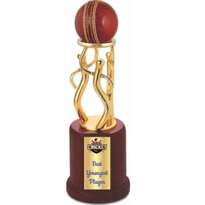 Cricket team trophy b