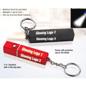 4 logo keychain ea
