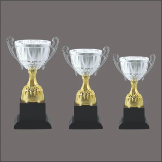 ICE GOLD TROPHY