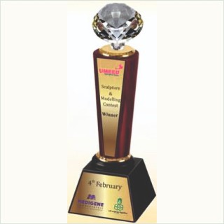 DIAMOND FLAT TROPHY