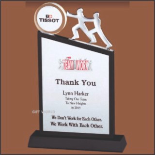 TEAMWORK TROPHY