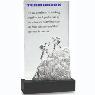 TEAM WORK AWARD