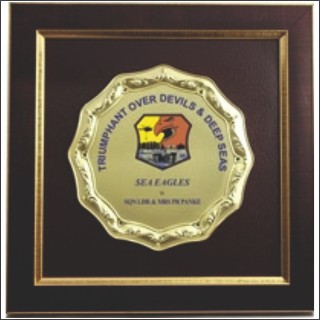 SEA EAGLE PLAQUE