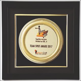 PLAQUE FRAME