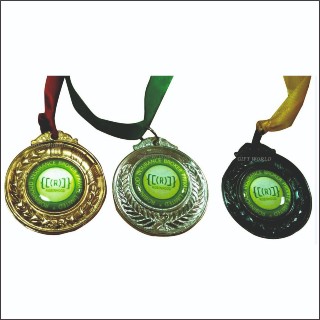 ROBIN MEDAL