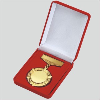 NAVAL MEDAL