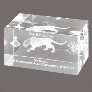 BLACK CAT TROPHY