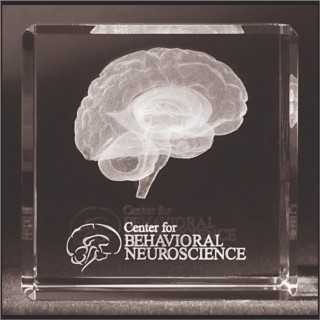 BRAIN CUBE